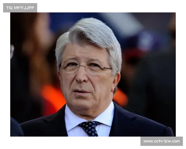 内格雷拉案庭审持续，前高管详细解释裁判报告工作细节